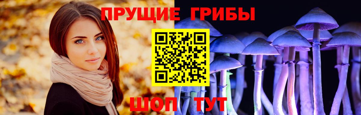 Тулун  Псилоцибиновые грибы прущие грибы  Вход с VPN 